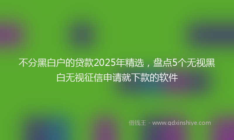 不分黑白户的贷款2025年精选，盘点5个无视黑白无视征信申请就下款的软件