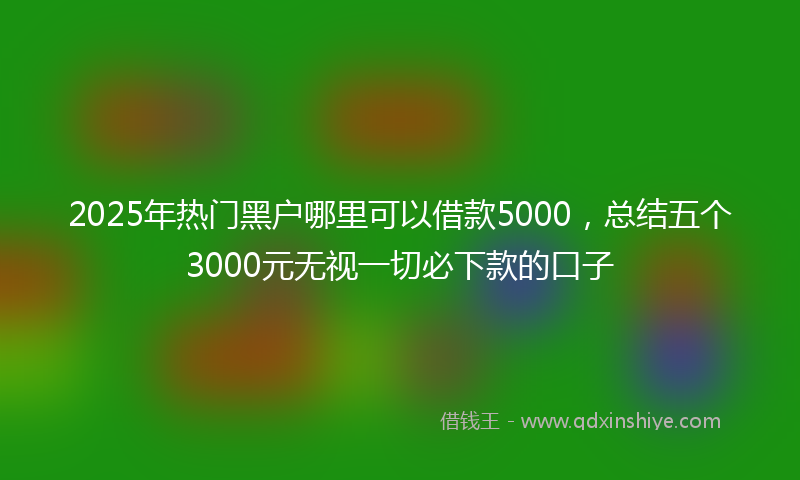 2025年热门黑户哪里可以借款5000，总结五个3000元无视一切必下款的口子