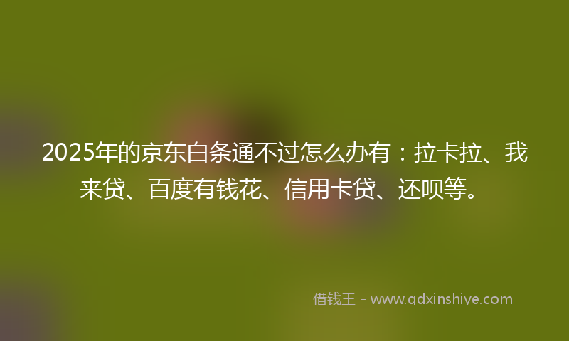 2025年的京东白条通不过怎么办有：拉卡拉、我来贷、百度有钱花、信用卡贷、还呗等。