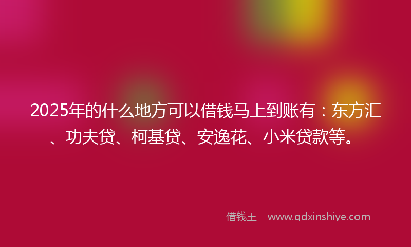 2025年的什么地方可以借钱马上到账有：东方汇、功夫贷、柯基贷、安逸花、小米贷款等。