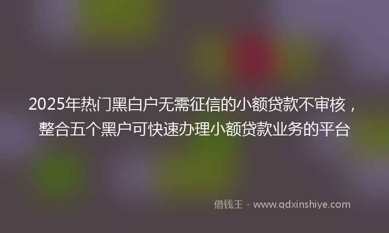 2025年热门黑白户无需征信的小额贷款不审核，整合五个黑户可快速办理小额贷款业务的平台