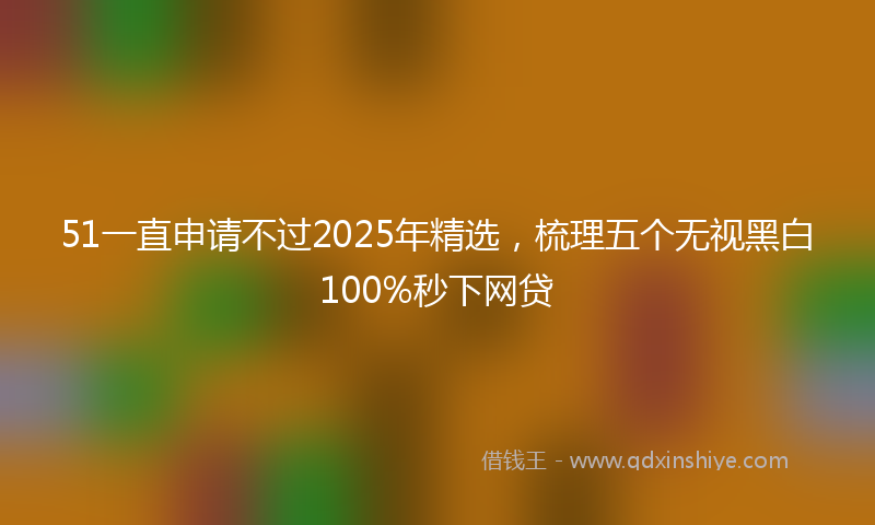 51一直申请不过2025年精选，梳理五个无视黑白100%秒下网贷
