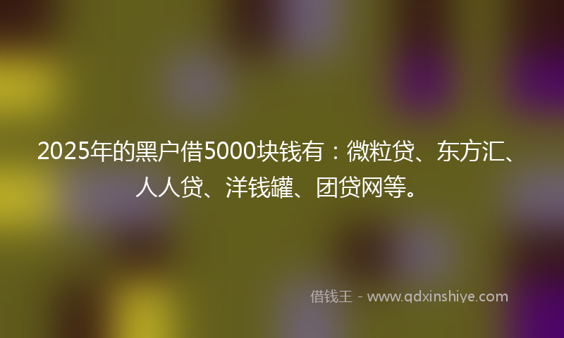 2025年的黑户借5000块钱有：微粒贷、东方汇、人人贷、洋钱罐、团贷网等。