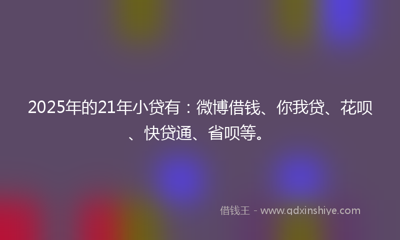 2025年的21年小贷有：微博借钱、你我贷、花呗、快贷通、省呗等。