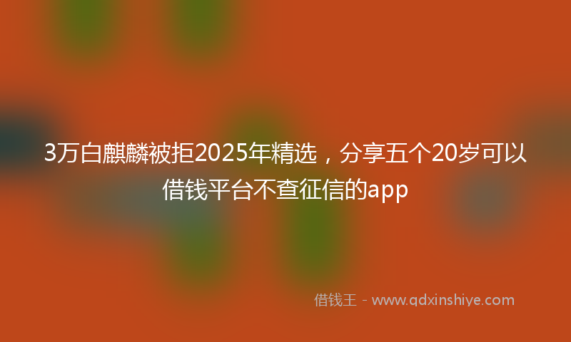 3万白麒麟被拒2025年精选，分享五个20岁可以借钱平台不查征信的app