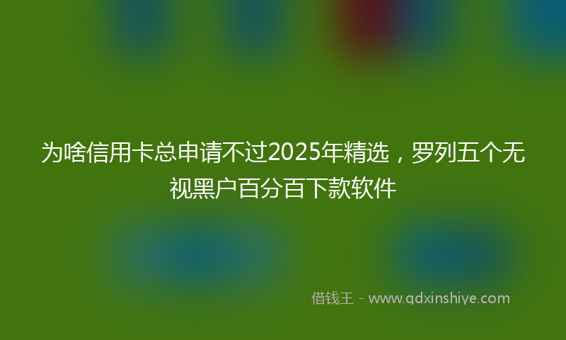 为啥信用卡总申请不过2025年精选，罗列五个无视黑户百分百下款软件