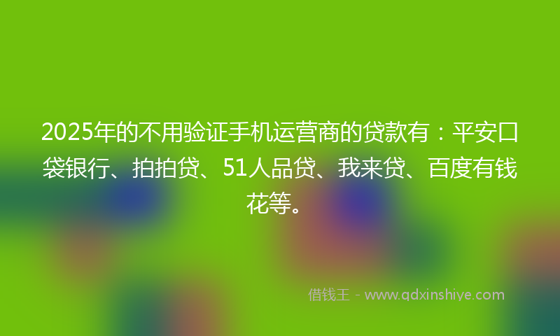 2025年的不用验证手机运营商的贷款有：平安口袋银行、拍拍贷、51人品贷、我来贷、百度有钱花等。