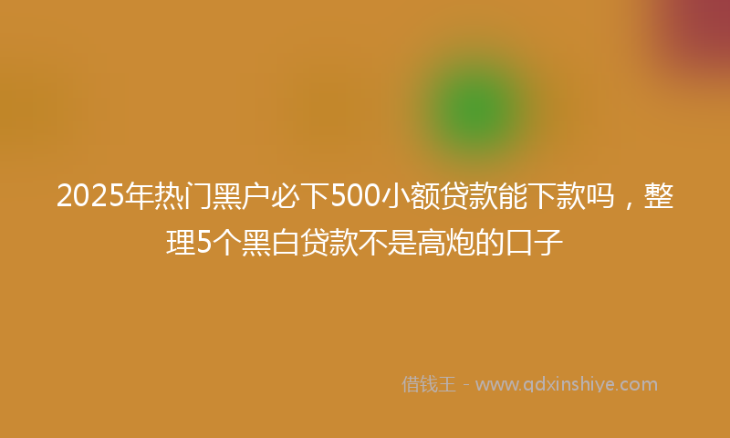 2025年热门黑户必下500小额贷款能下款吗，整理5个黑白贷款不是高炮的口子