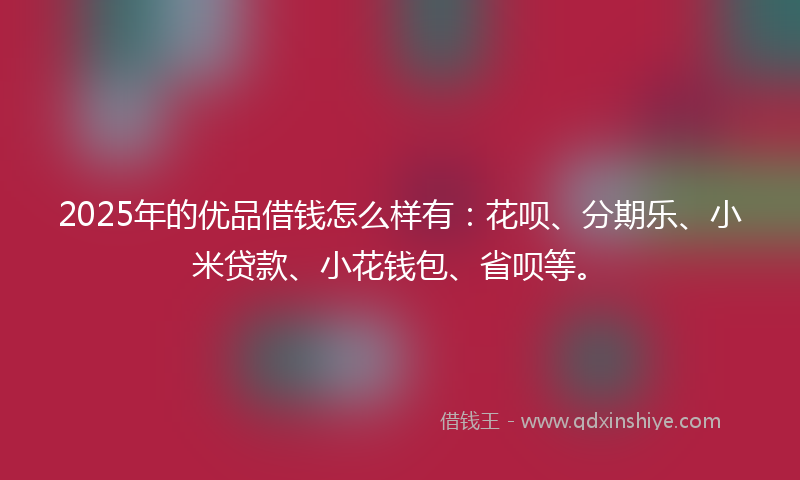 2025年的优品借钱怎么样有：花呗、分期乐、小米贷款、小花钱包、省呗等。