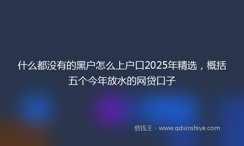 什么都没有的黑户怎么上户口2025年精选，概括五个今年放水的网贷口子