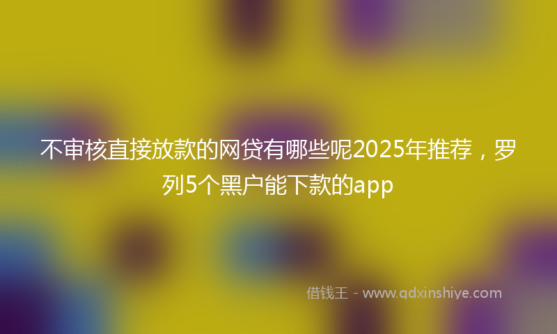 不审核直接放款的网贷有哪些呢2025年推荐，罗列5个黑户能下款的app