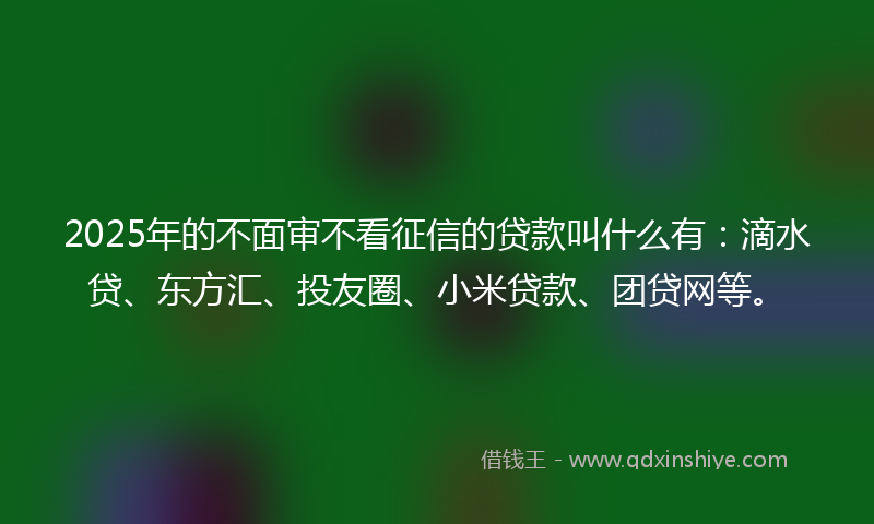 2025年的不面审不看征信的贷款叫什么有：滴水贷、东方汇、投友圈、小米贷款、团贷网等。
