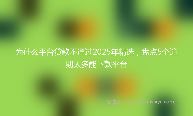 为什么平台贷款不通过2025年精选，盘点5个逾期太多能下款平台