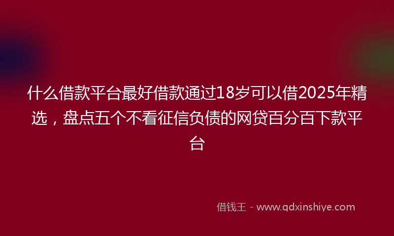 什么借款平台最好借款通过18岁可以借2025年精选，盘点五个不看征信负债的网贷百分百下款平台