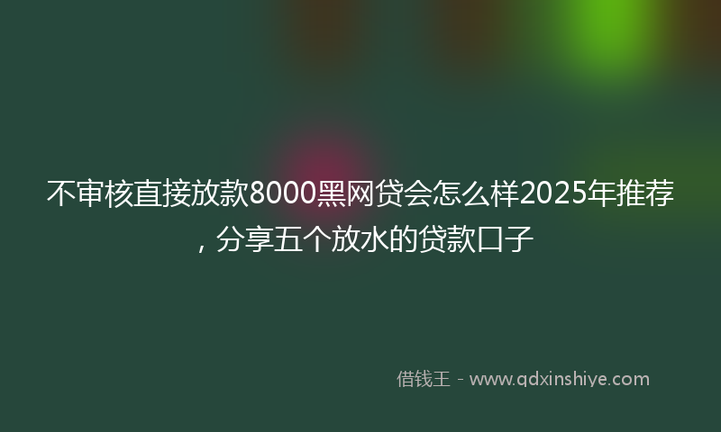 不审核直接放款8000黑网贷会怎么样2025年推荐，分享五个放水的贷款口子