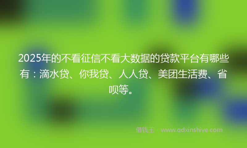 2025年的不看征信不看大数据的贷款平台有哪些有：滴水贷、你我贷、人人贷、美团生活费、省呗等。