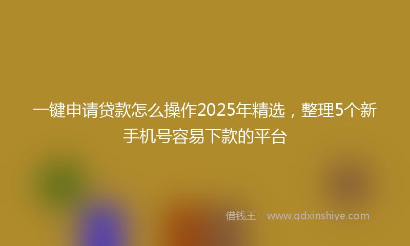 一键申请贷款怎么操作2025年精选，整理5个新手机号容易下款的平台