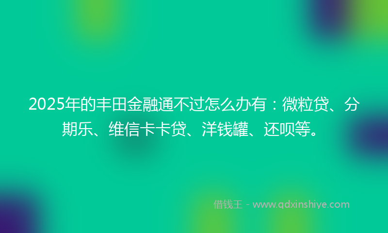 2025年的丰田金融通不过怎么办有：微粒贷、分期乐、维信卡卡贷、洋钱罐、还呗等。