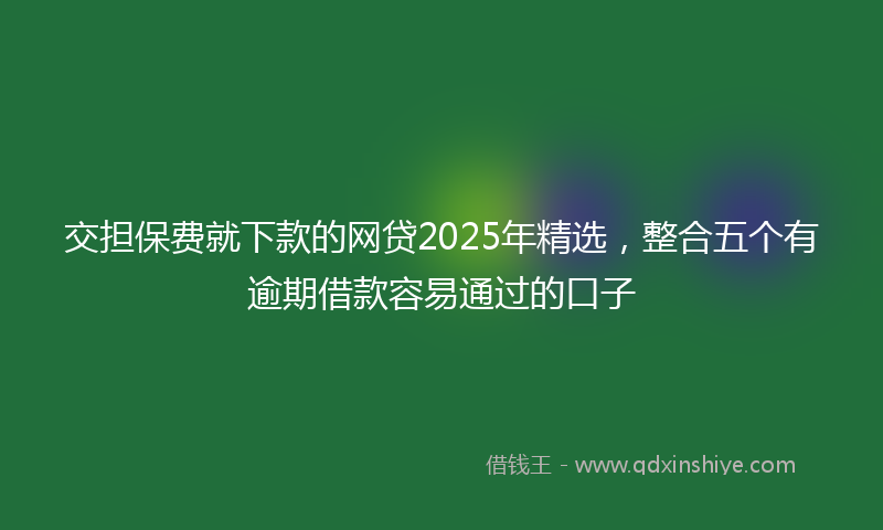 交担保费就下款的网贷2025年精选，整合五个有逾期借款容易通过的口子
