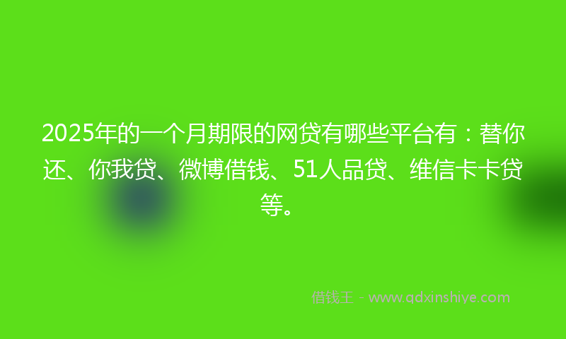 2025年的一个月期限的网贷有哪些平台有：替你还、你我贷、微博借钱、51人品贷、维信卡卡贷等。