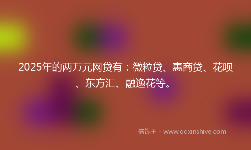 2025年的两万元网贷有：微粒贷、惠商贷、花呗、东方汇、融逸花等。