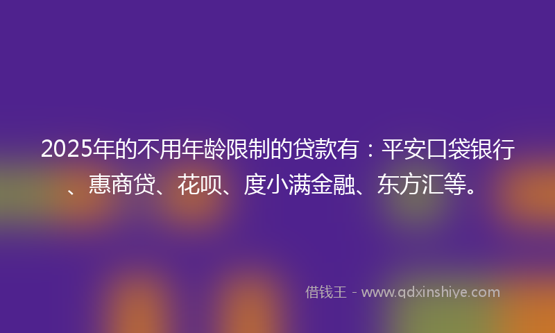 2025年的不用年龄限制的贷款有：平安口袋银行、惠商贷、花呗、度小满金融、东方汇等。
