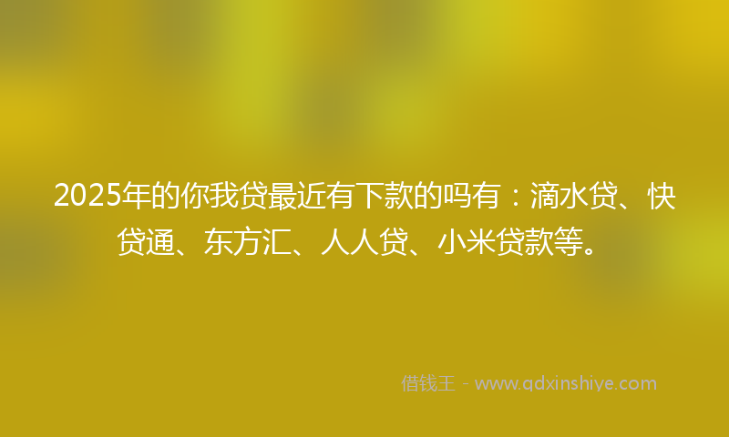 2025年的你我贷最近有下款的吗有：滴水贷、快贷通、东方汇、人人贷、小米贷款等。