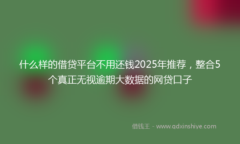 什么样的借贷平台不用还钱2025年推荐，整合5个真正无视逾期大数据的网贷口子