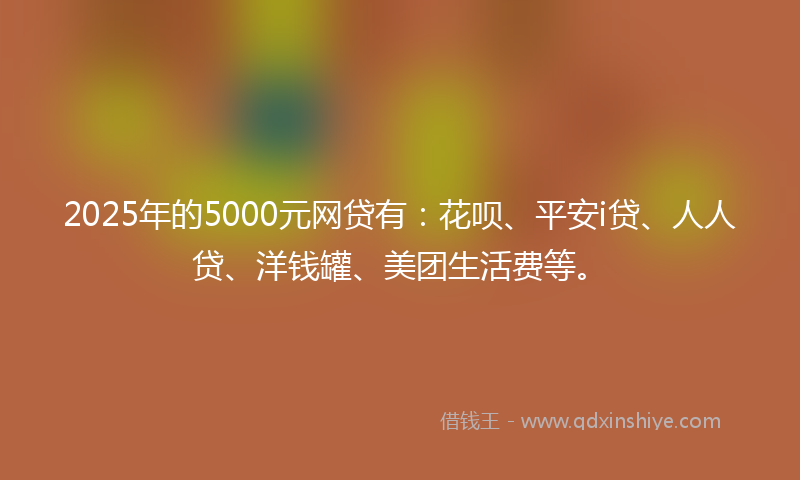 2025年的5000元网贷有：花呗、平安i贷、人人贷、洋钱罐、美团生活费等。