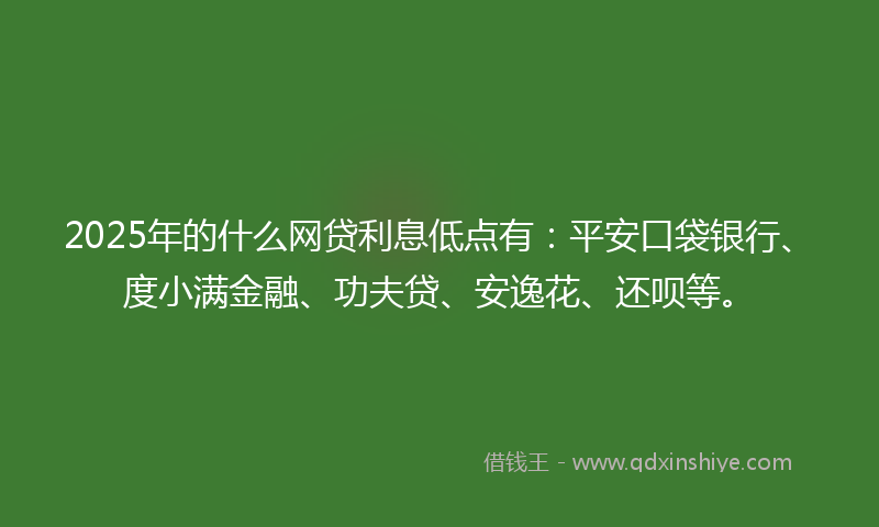 2025年的什么网贷利息低点有：平安口袋银行、度小满金融、功夫贷、安逸花、还呗等。