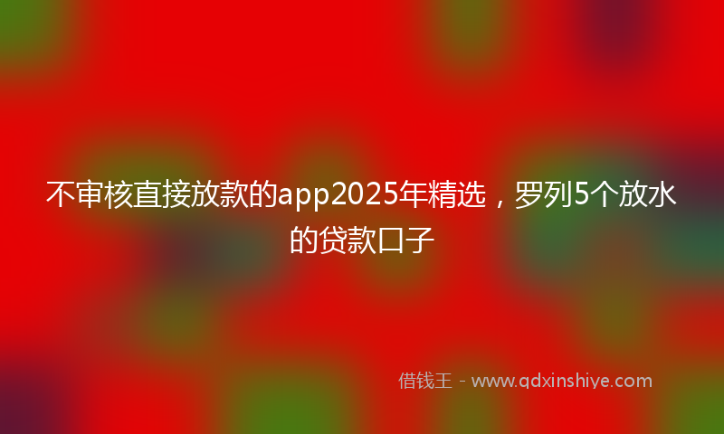 不审核直接放款的app2025年精选，罗列5个放水的贷款口子