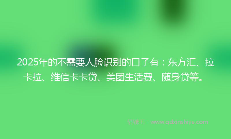 2025年的不需要人脸识别的口子有：东方汇、拉卡拉、维信卡卡贷、美团生活费、随身贷等。