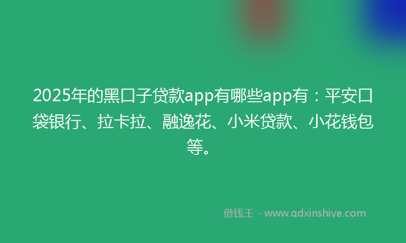 2025年的黑口子贷款app有哪些app有：平安口袋银行、拉卡拉、融逸花、小米贷款、小花钱包等。