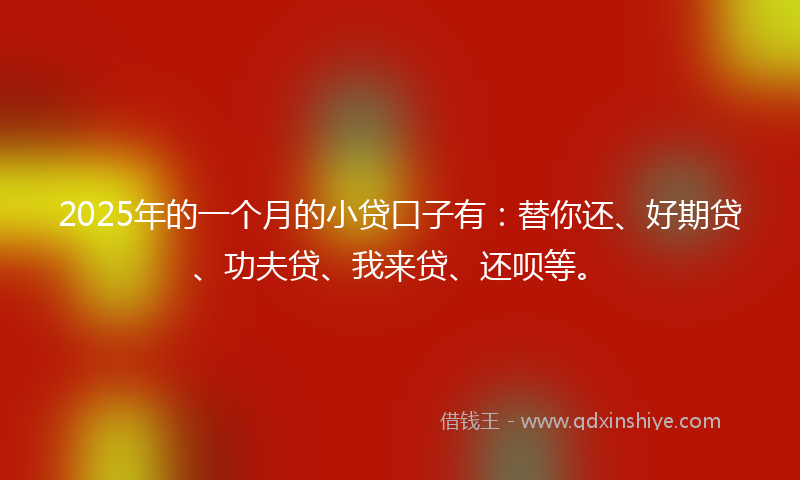 2025年的一个月的小贷口子有：替你还、好期贷、功夫贷、我来贷、还呗等。
