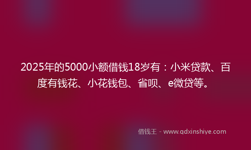 2025年的5000小额借钱18岁有：小米贷款、百度有钱花、小花钱包、省呗、e微贷等。
