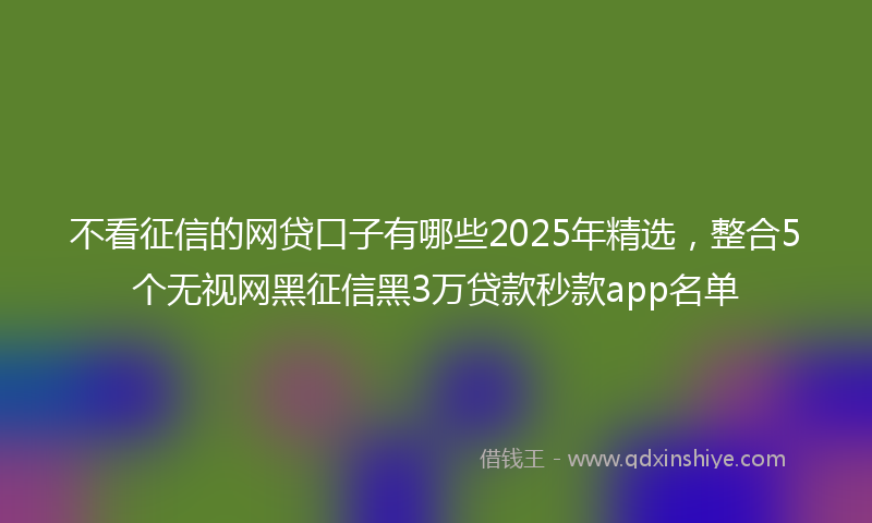不看征信的网贷口子有哪些2025年精选，整合5个无视网黑征信黑3万贷款秒款app名单
