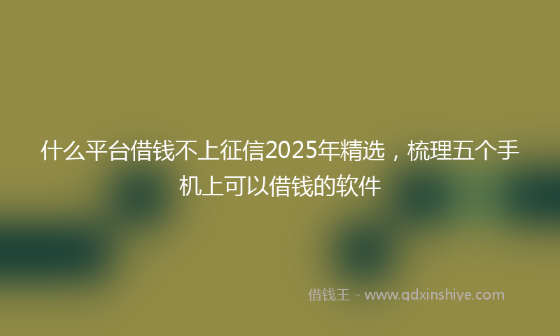 什么平台借钱不上征信2025年精选，梳理五个手机上可以借钱的软件