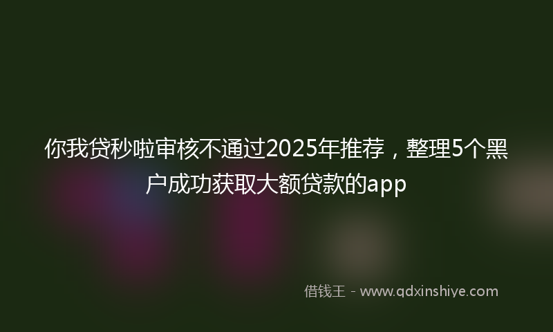 你我贷秒啦审核不通过2025年推荐，整理5个黑户成功获取大额贷款的app