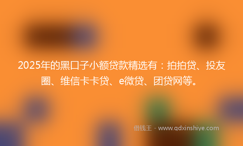 2025年的黑口子小额贷款精选有：拍拍贷、投友圈、维信卡卡贷、e微贷、团贷网等。