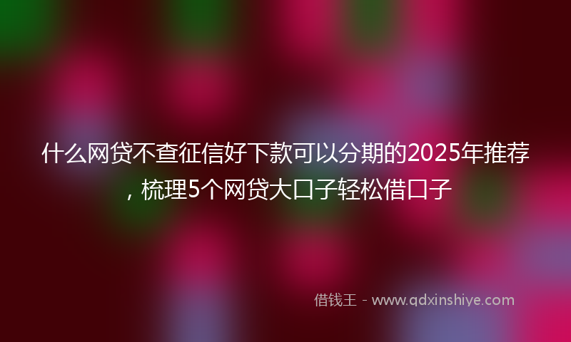 什么网贷不查征信好下款可以分期的2025年推荐，梳理5个网贷大口子轻松借口子