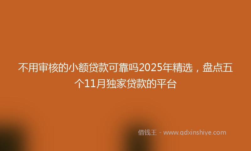 不用审核的小额贷款可靠吗2025年精选，盘点五个11月独家贷款的平台