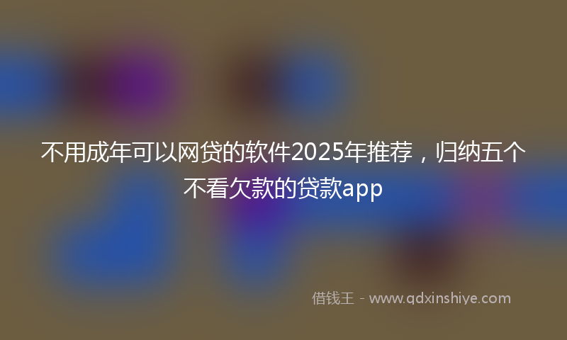 不用成年可以网贷的软件2025年推荐，归纳五个不看欠款的贷款app