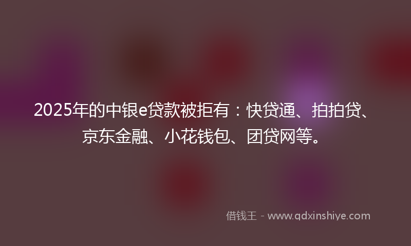 2025年的中银e贷款被拒有：快贷通、拍拍贷、京东金融、小花钱包、团贷网等。
