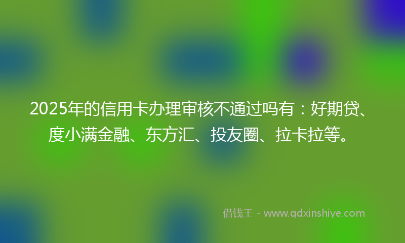 2025年的信用卡办理审核不通过吗有：好期贷、度小满金融、东方汇、投友圈、拉卡拉等。