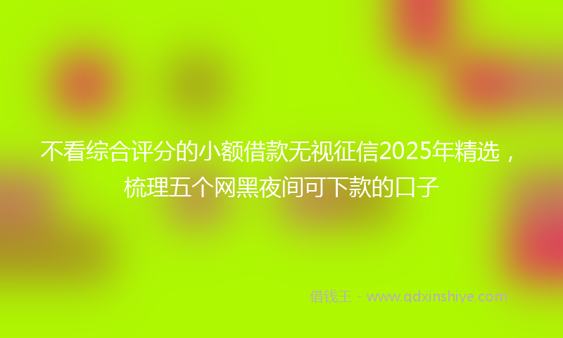 不看综合评分的小额借款无视征信2025年精选，梳理五个网黑夜间可下款的口子