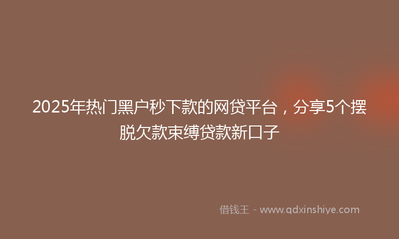 2025年热门黑户秒下款的网贷平台，分享5个摆脱欠款束缚贷款新口子