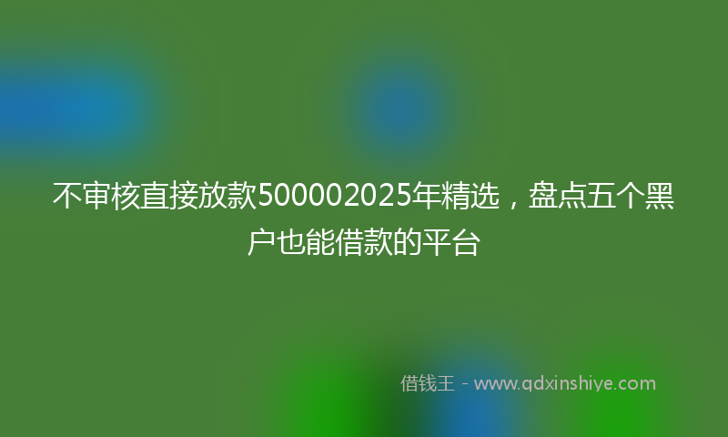不审核直接放款500002025年精选，盘点五个黑户也能借款的平台