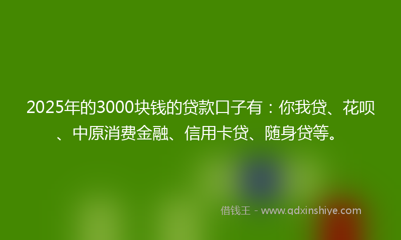 2025年的3000块钱的贷款口子有：你我贷、花呗、中原消费金融、信用卡贷、随身贷等。