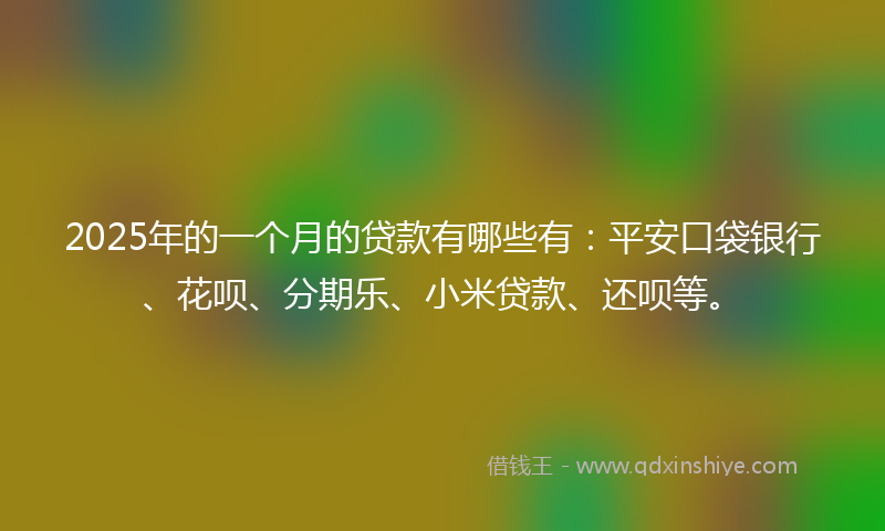 2025年的一个月的贷款有哪些有：平安口袋银行、花呗、分期乐、小米贷款、还呗等。