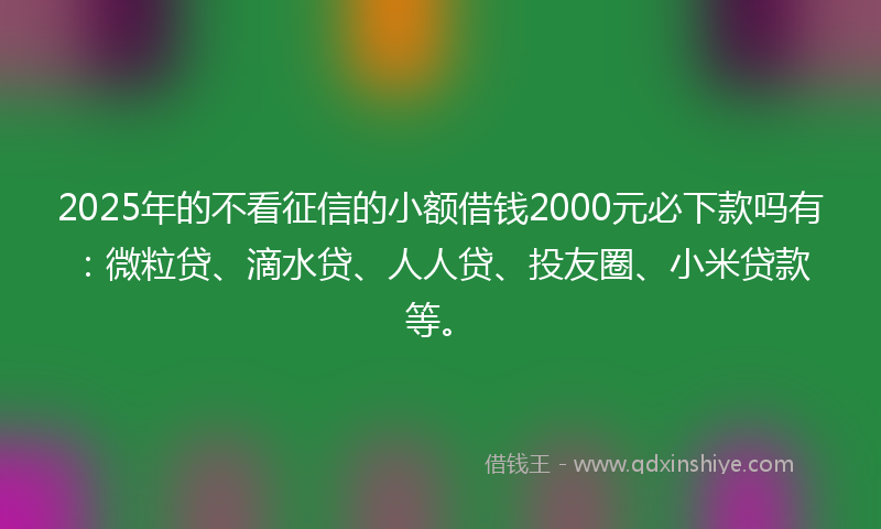 2025年的不看征信的小额借钱2000元必下款吗有：微粒贷、滴水贷、人人贷、投友圈、小米贷款等。